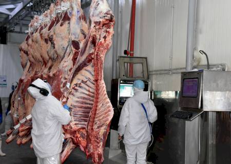 Indústria de MS gerou mais de 9,5 mil vagas de emprego entre janeiro e julho de 2023
